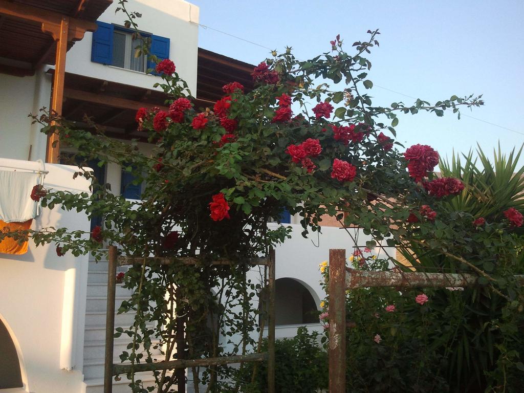 Joanna Apartments Mikri Vigla Dış mekan fotoğraf