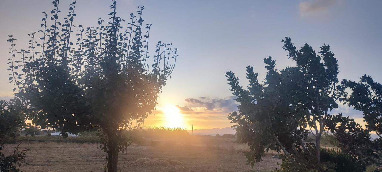 Joanna Apartments Mikri Vigla Dış mekan fotoğraf