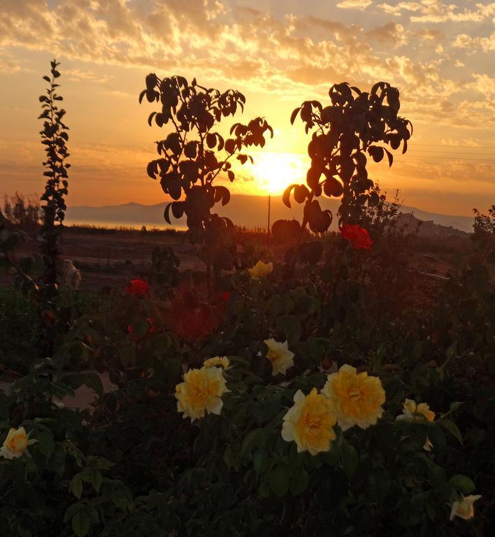 Joanna Apartments Mikri Vigla Dış mekan fotoğraf